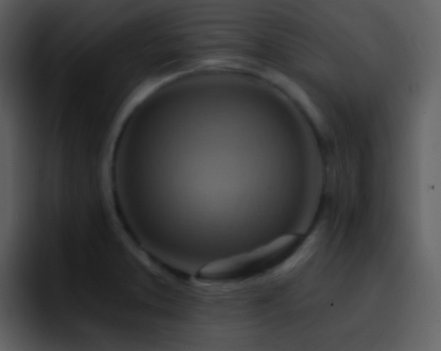 X0000095681373200801081220