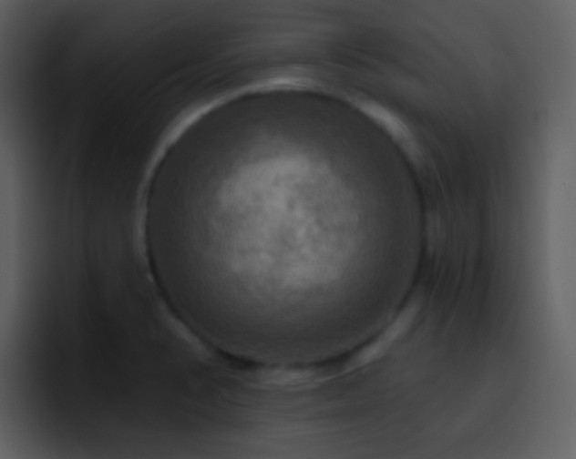 X0000095681374200801081220