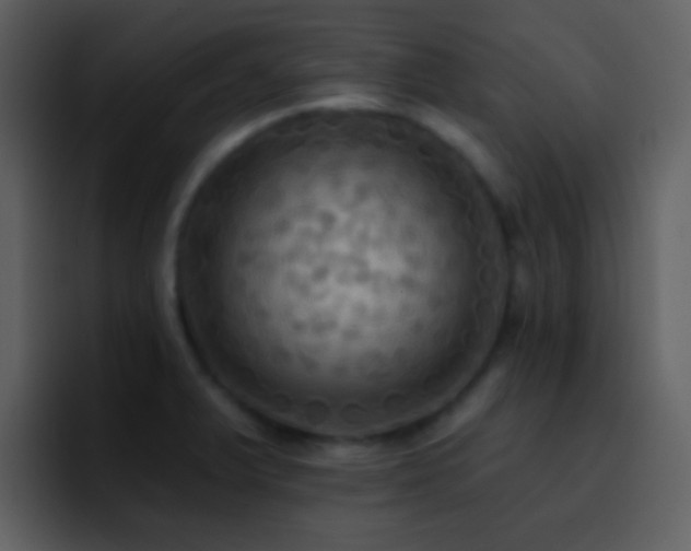 X0000095681375200801081220