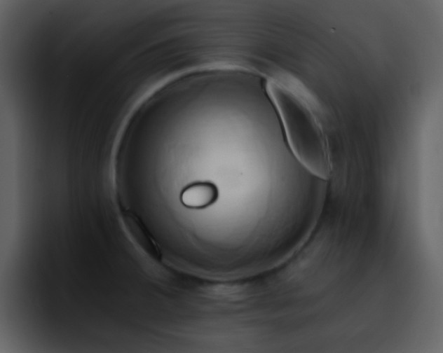 X0000095681380200801081220