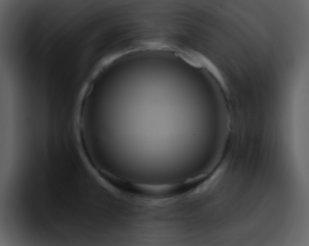 X0000095681381200801081220