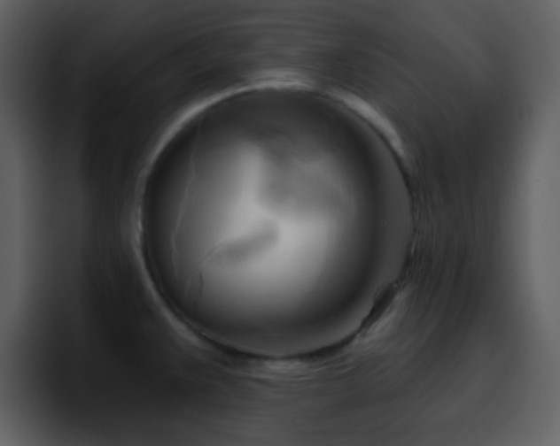 X0000095681383200801081220