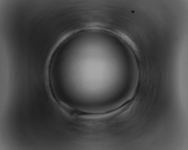 X0000095681384200801081220