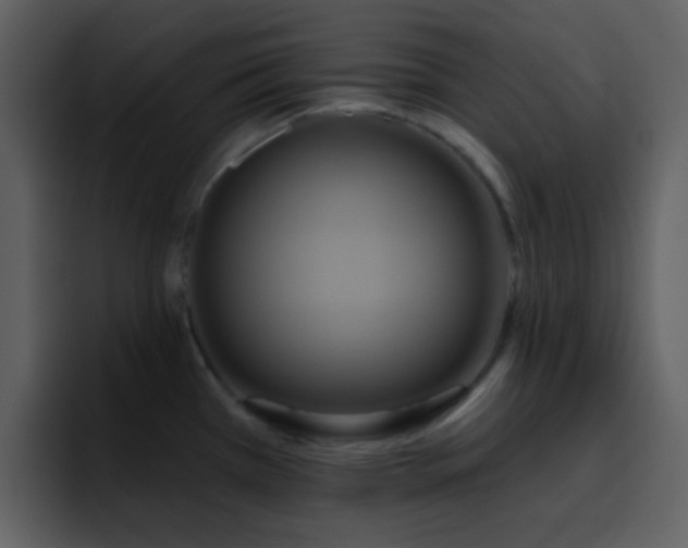 X0000095681385200801081220