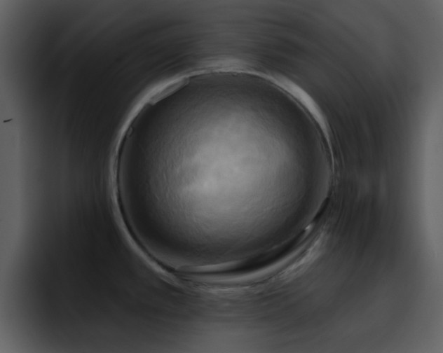 X0000095681389200801081220