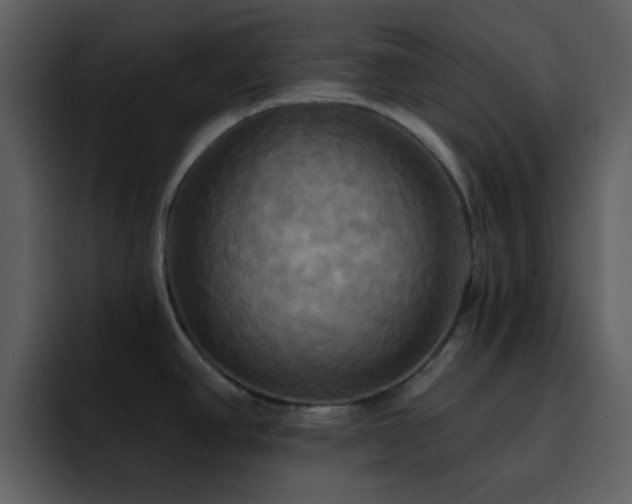 X0000095681390200801081220