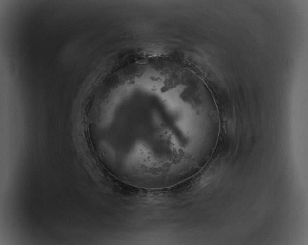 X0000095681393200801081219