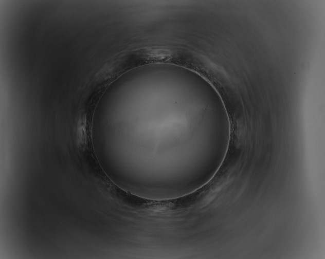 X0000095681394200801081219