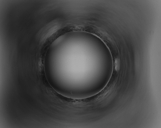 X0000095681395200801081219