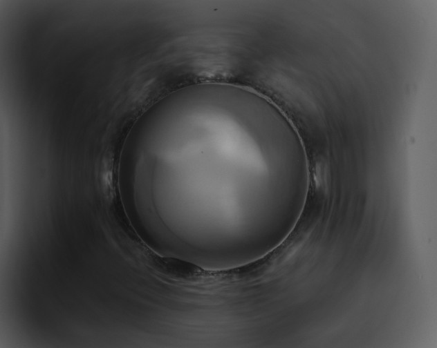 X0000095681396200801081219