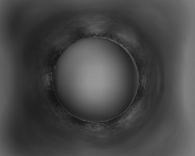 X0000095681397200801081219