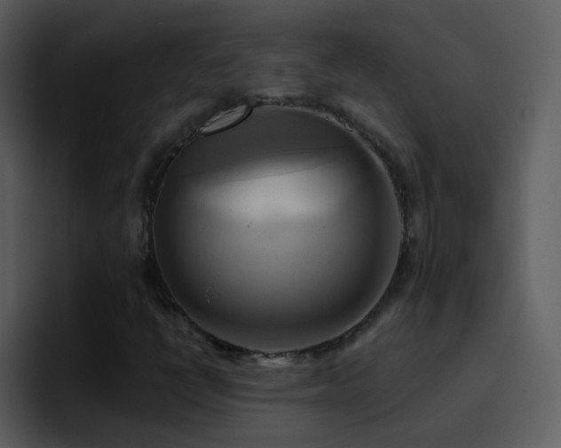 X0000095681398200801081219
