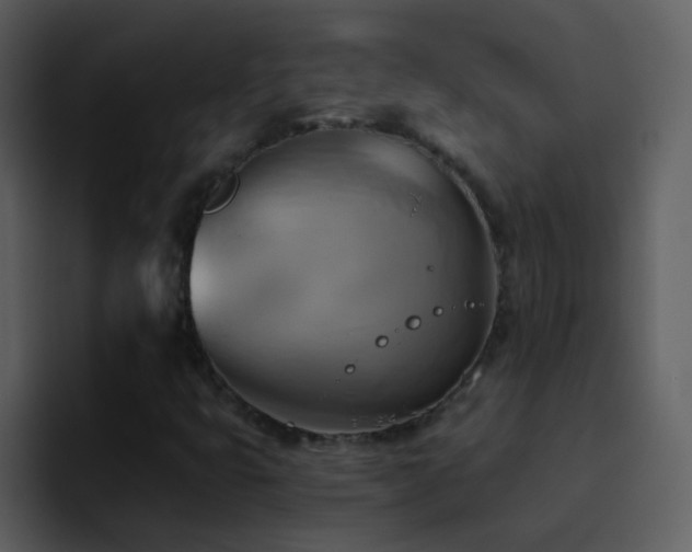 X0000095681399200801081219