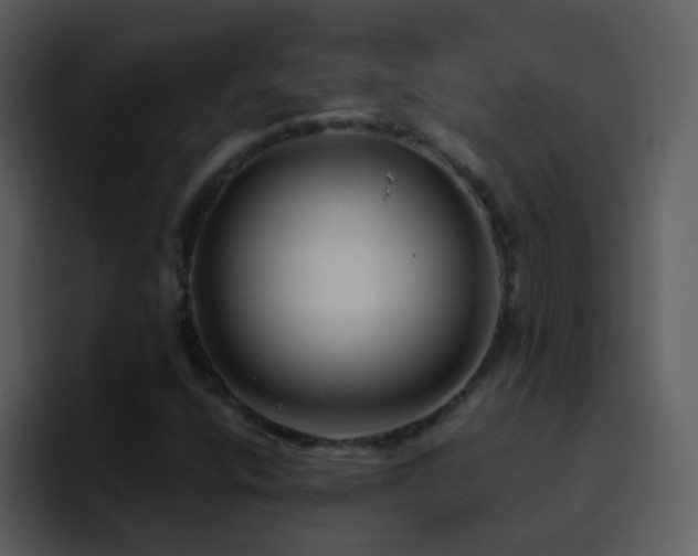X0000095681400200801081219