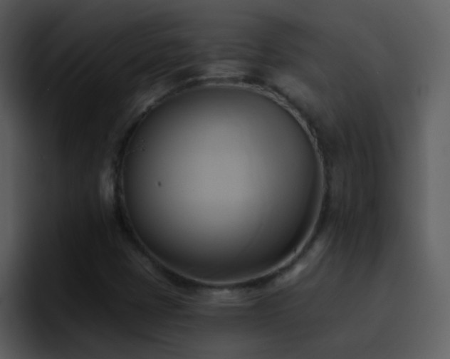 X0000095681401200801081219
