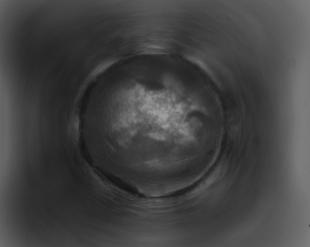 X0000095681402200801081219