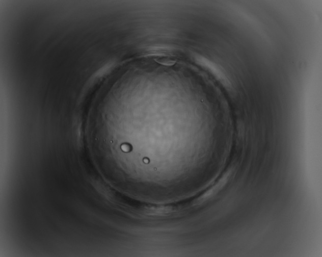 X0000095681403200801081219