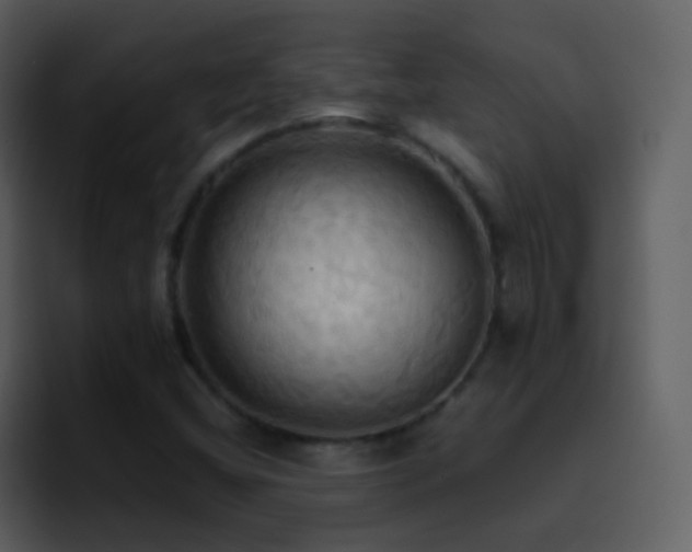 X0000095681404200801081219