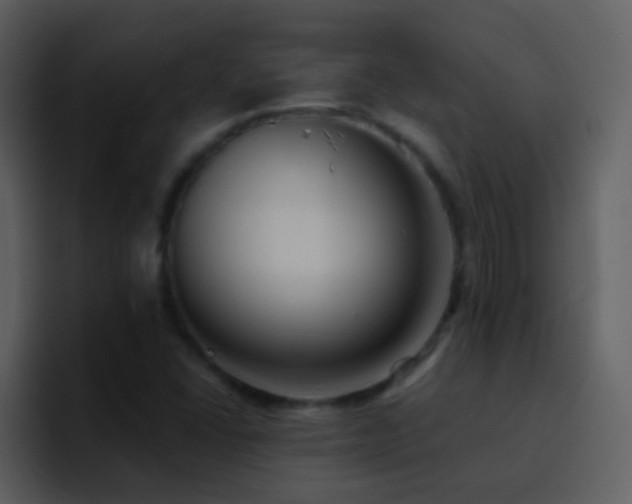 X0000095681406200801081219