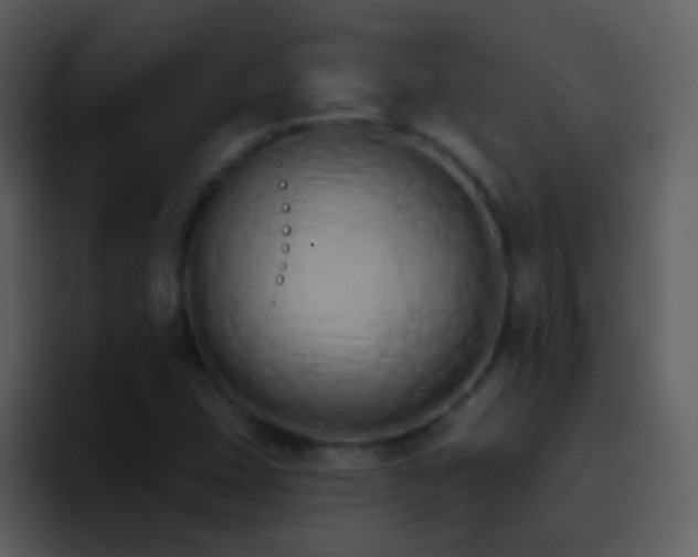 X0000095681407200801081219