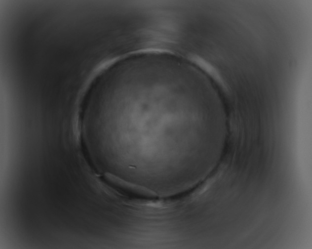 X0000095681408200801081219