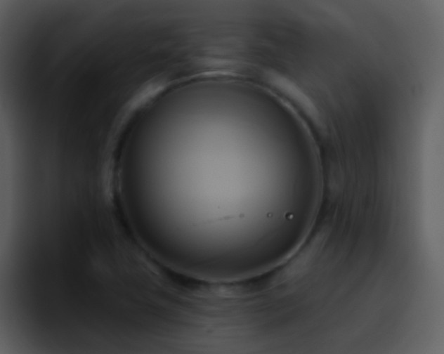 X0000095681411200801081220