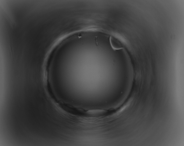 X0000095681414200801081220