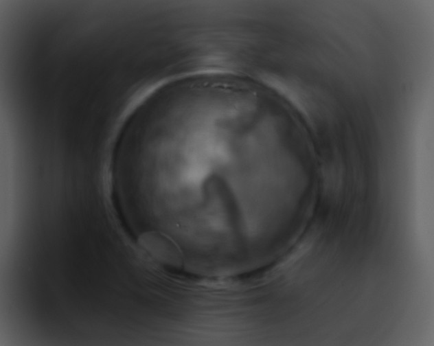 X0000095681415200801081220