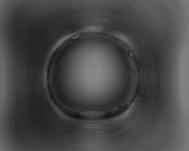 X0000095681422200801081220