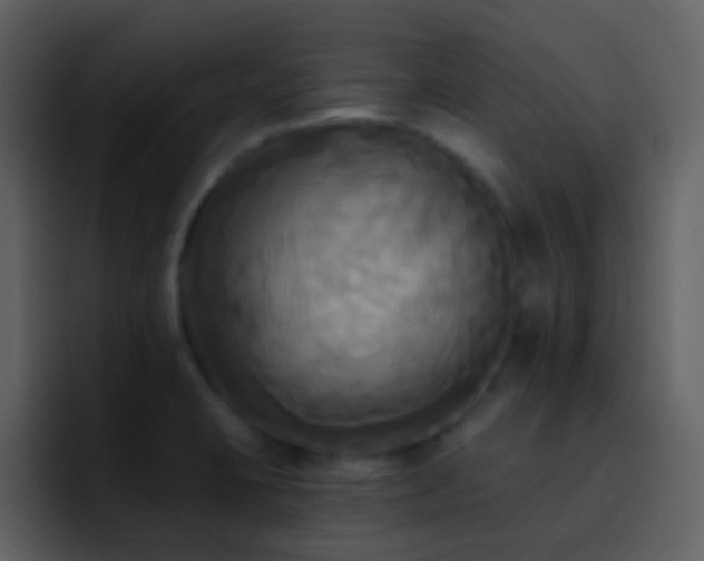 X0000095681423200801081220