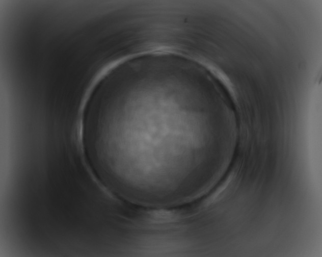 X0000095681424200801081220