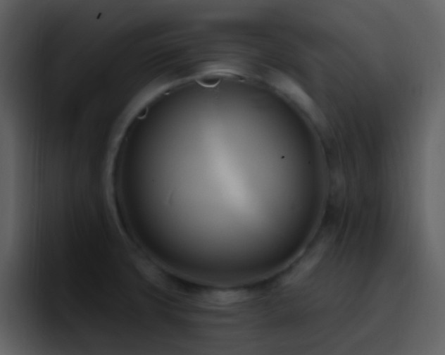X0000095681427200801081220