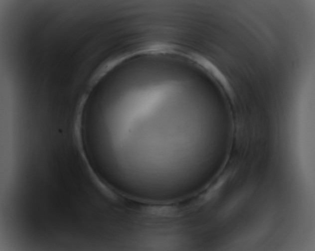 X0000095681429200801081220
