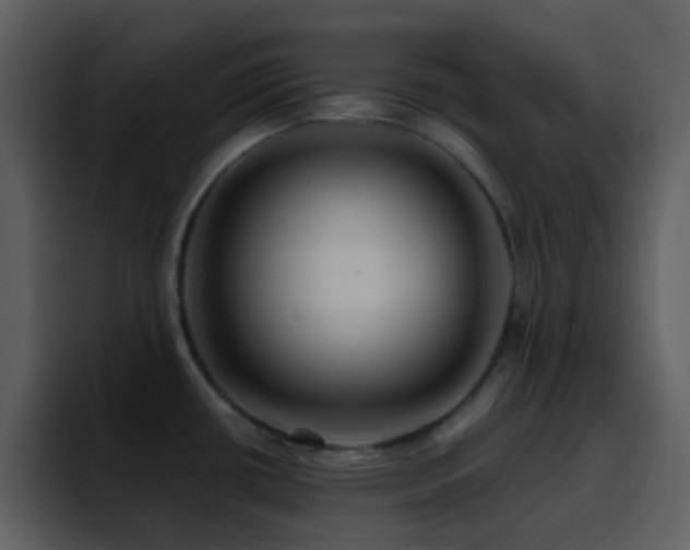 X0000095681434200801081220