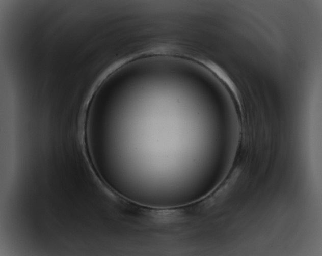 X0000095681437200801081220