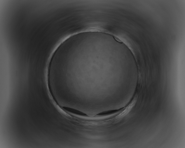 X0000095681438200801081220