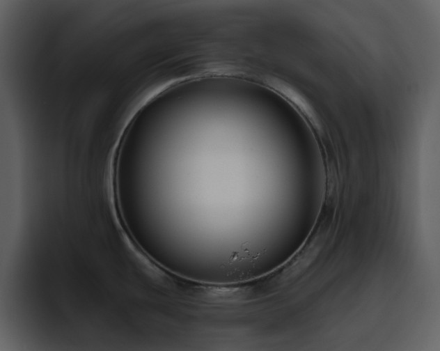 X0000095681439200801081220