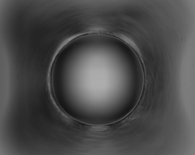 X0000095681440200801081220