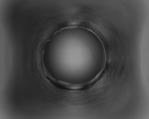 X0000095681441200801081219