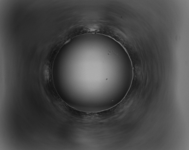 X0000095681442200801081219