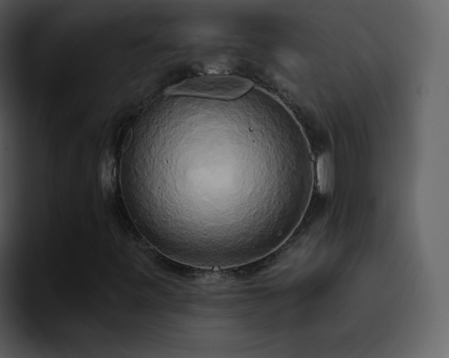 X0000095681443200801081219