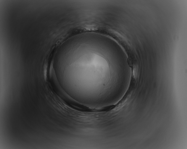 X0000095681444200801081219