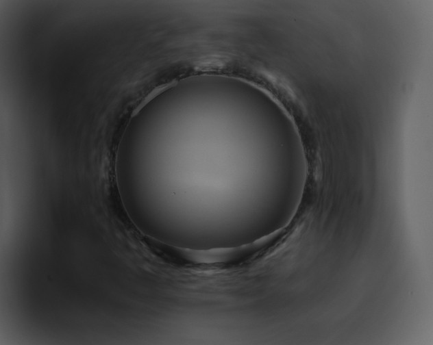 X0000095681445200801081219