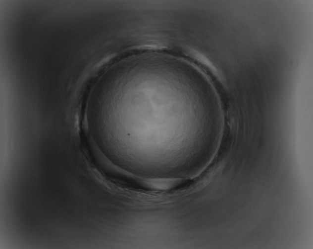 X0000095681448200801081219