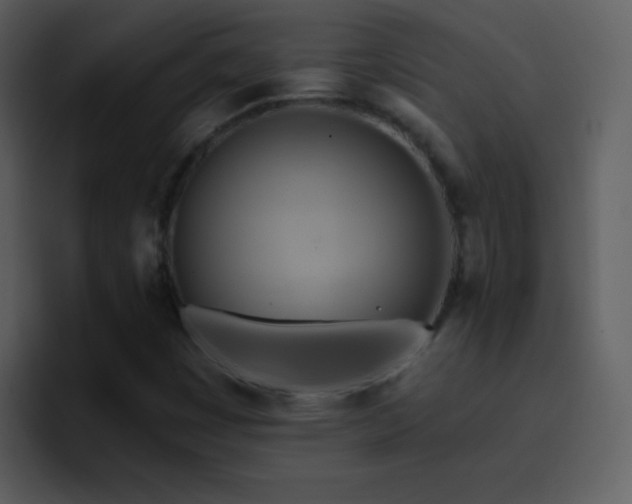 X0000095681449200801081219