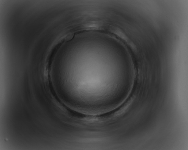 X0000095681450200801081219