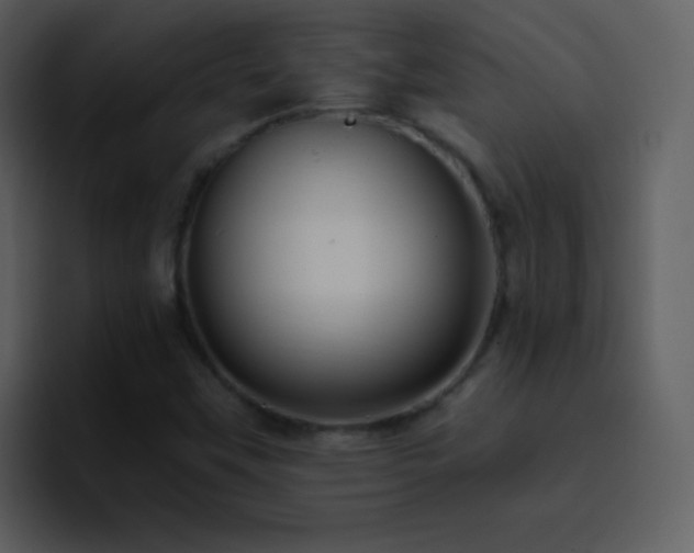 X0000095681451200801081219
