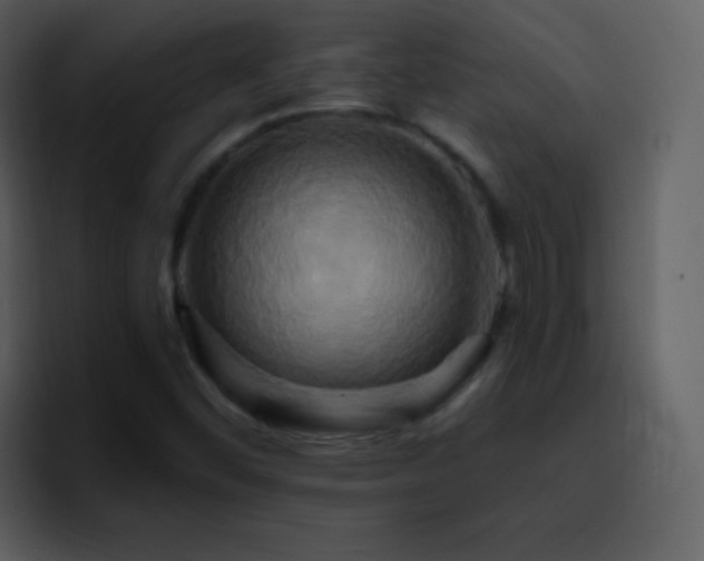 X0000095681452200801081219
