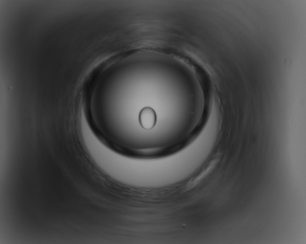 X0000095681453200801081219