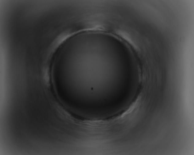 X0000095681455200801081219